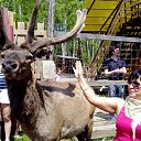 ���� ����, ������ - ��������� 22 ���� 2015 � ������ ���������� ������ 1140�.�