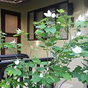    -  ,  -  23  2015    2014.  Peace.  11-.