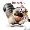 ���� ����, ���, 61 ��� - ��������� 9 ��� 2015 � ������ ���� ����������