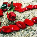 ���� Azer, ����, 46 ��� - ��������� 11 ������� 2015