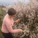 ���� �������, ������, 62 ���� - ��������� 29 ���� 2015 � ������ ���� ����������