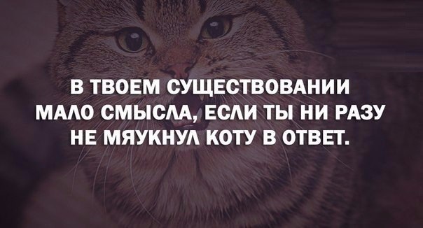       - 24  2015  15:35