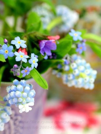 |В| Счастье есть... |В| - 15 мая 2015 в 23:12