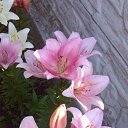 ���� Natali, ������ - ��������� 2 ���� 2015 � ������ ���� �������� 2015�