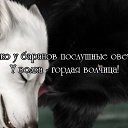  Nelli>>>........................, -, 49  -  10  2015    