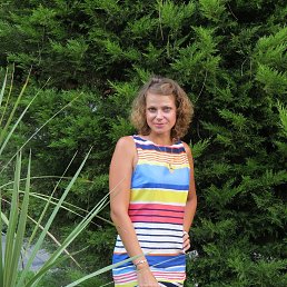 �����, ����, 44 ����