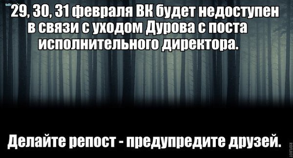 Art & Fun - 28  2015  10:44