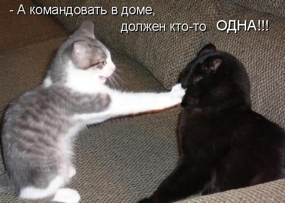       - 5  2015  08:02
