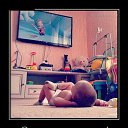 ���� �����, �������, 38 ��� - ��������� 1 �������� 2015