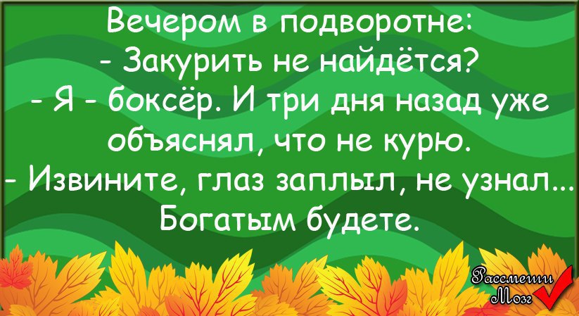  - 13  2015  20:04
