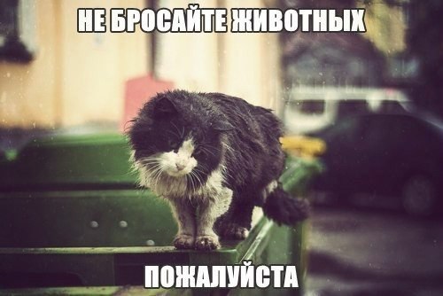       - 8  2015  08:30