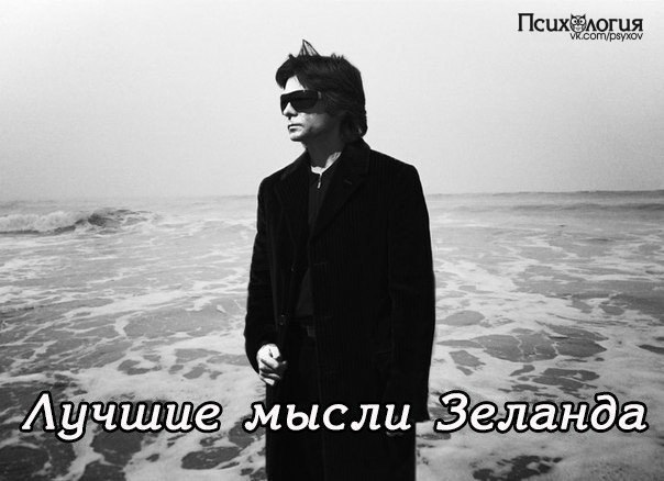 10 избранных мыслей Вадима Зеланда.Лучшие мысли и практические рекомендации от автора теории ...