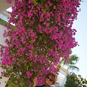 ���� �������, ������, 54 ���� - ��������� 31 ���� 2015 � ������ ���� ����������