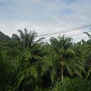    -  ,  -  4  2015    2014.  .  4-.