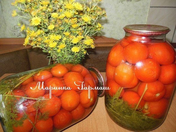 Армянские помидоры с морковной ботвой.Автор: Марина ГармашПомидоры помыть,на дно положить 3 -4 ...