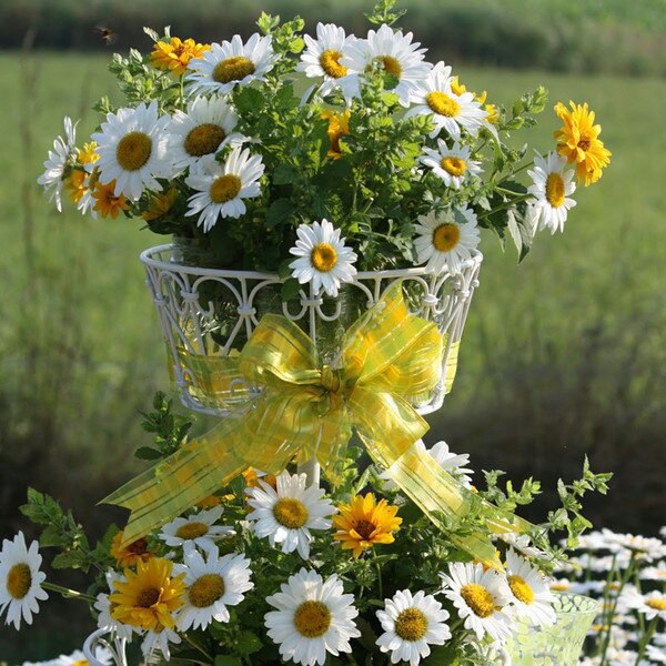  ?   ! ,  .     ,       ... - 3