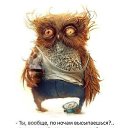 ���� ��������, ����-���, 50 ��� - ��������� 2 ���� 2015 � ������ ���� ����������