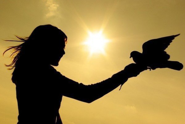          -     " "  -   : http://vk.com/creationoflife - 15  2015  07:17