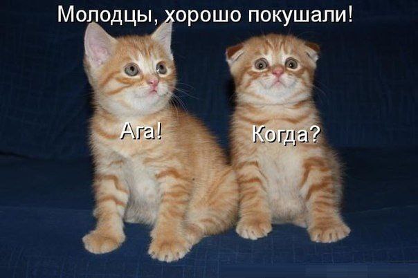 )))