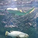 ���� �����, ��������, 49 ��� - ��������� 28 ������ 2015 � ������ ������������