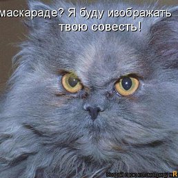 ���������, ������, 50 ���