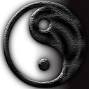 ���� ������, �����-���������, 41 ��� - ��������� 17 ��� 2015 � ������ ������ ��������