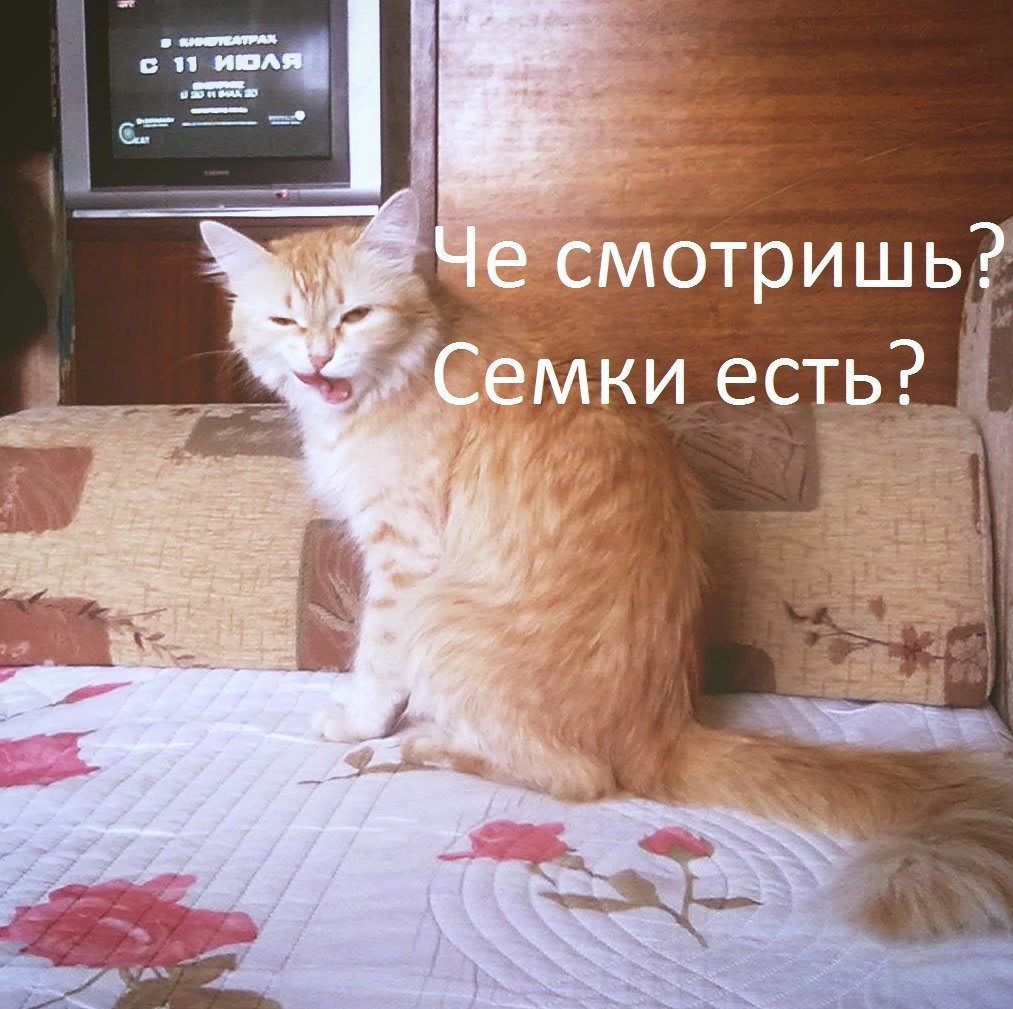       - 3  2015  23:14