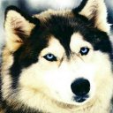 ���� �����, �����-��������� - ��������� 18 ���� 2015 � ������ ���� ����������