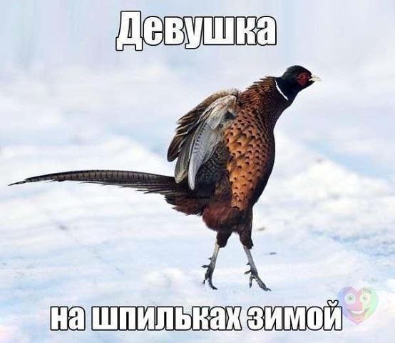 )))