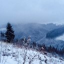 ���� ������, �����-��������� - ��������� 16 ��� 2015 � ������ ����� (���� vs ����)�