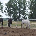  ((((Olenka)))),  -  22  2015    