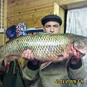 ���� �������, ���������, 53 ���� - ��������� 6 ��� 2015 � ������ ������