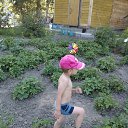 ���� �������, �����������, 48 ��� - ��������� 15 �������� 2015 � ������ ���� ����������