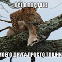���� �������, ���������, 29 ��� - ��������� 12 ���� 2015 � ������ ���� ����������