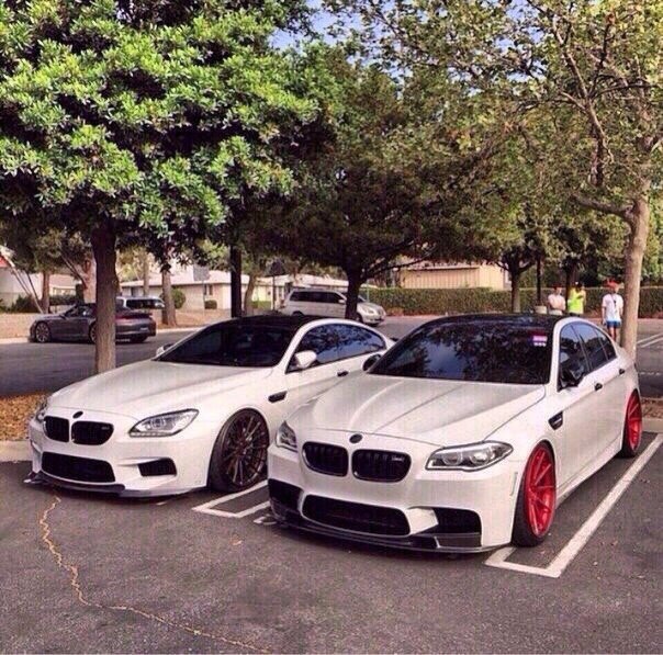BMW M6 and BMW M5