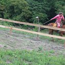 ���� ��������, �����, 72 ���� - ��������� 5 ���� 2015 � ������ ���� ����������