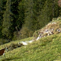  , , 60  -  25  2015   