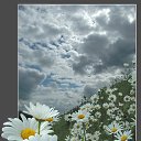 ���� ���k�, ����������, 63 ���� - ��������� 3 ������� 2015 � ������ ����������