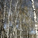 ���� �����, ������, 76 ��� - ��������� 27 ���� 2015 � ������ �����,������ ������
