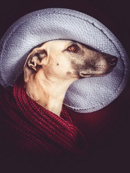 -   (Elke Vogelsang)        ... - 9