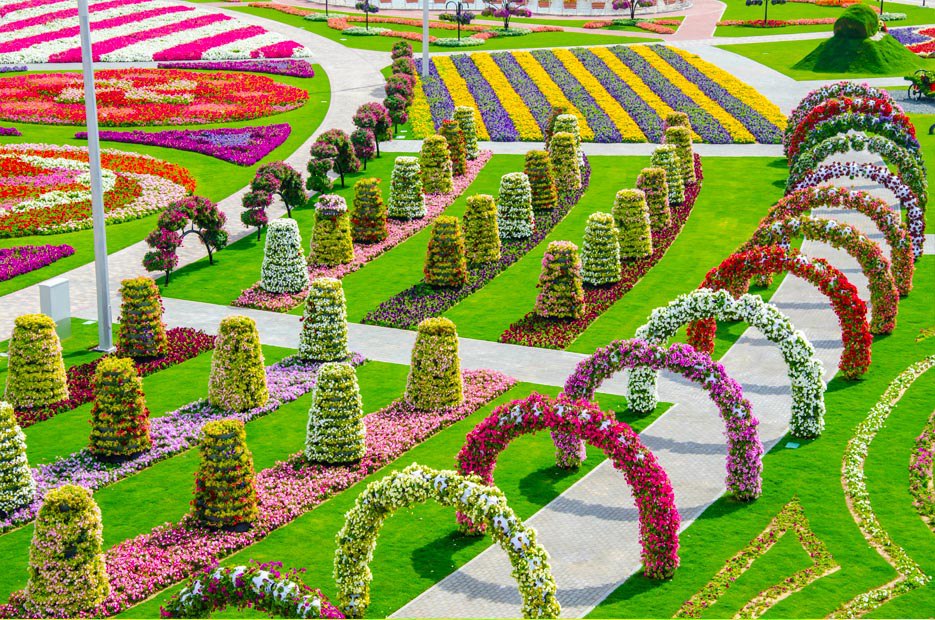 " "   (Dubai Miracle Garden) -       (). ... - 3