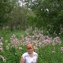  ,  , 67  -  29  2015    2015