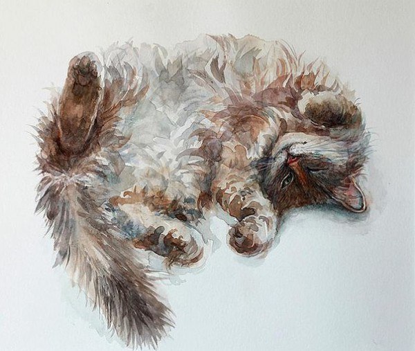     SUZI MATHER.   Suzi Mather    ... - 7