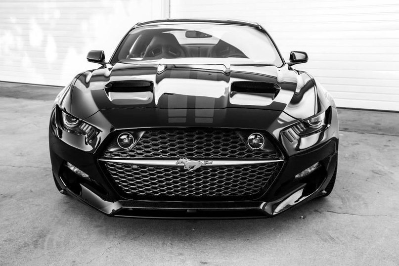 Galpin Auto Sports Rocket - 5