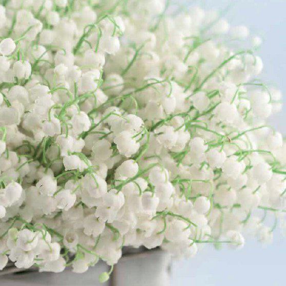 ||  ... || - 8  2015  16:50 - 6