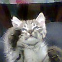 ���� *�������*, ������ - ��������� 10 ��� 2015 � ������ ���� ������