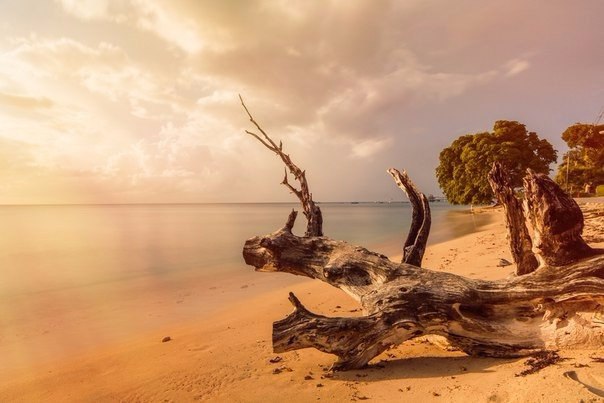  .#nature@travel.blog