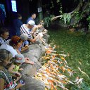 ���� �����, ������, 50 ��� - ��������� 30 ���� 2015 � ������ ���� ����������