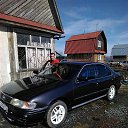 ���� ����, ������������, 35 ��� - ��������� 1 ��� 2015