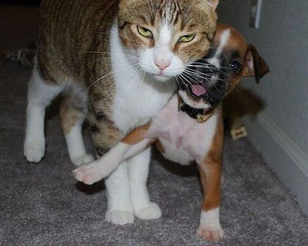  !